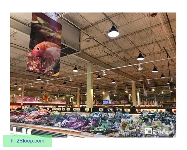 2026世界杯休斯顿赛区六月启用降温喷雾系统打造清凉观赛环境